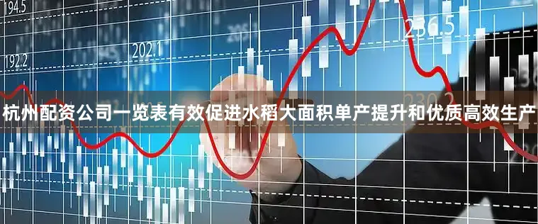 杭州配资公司一览表有效促进水稻大面积单产提升和优质高效生产