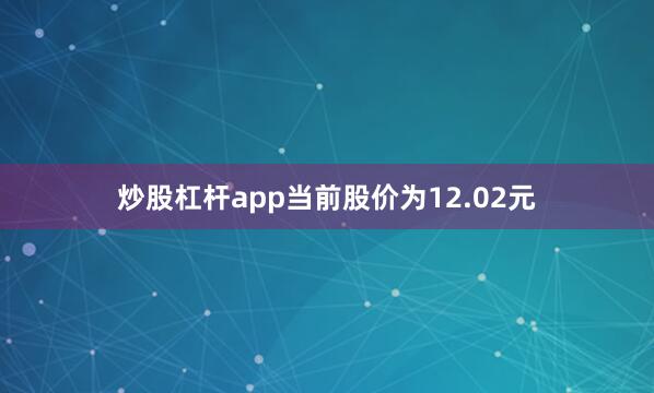 炒股杠杆app当前股价为12.02元